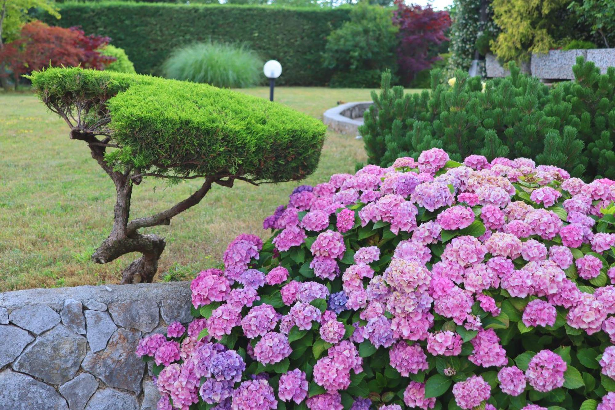 Garden Villa Štanjel Εξωτερικό φωτογραφία